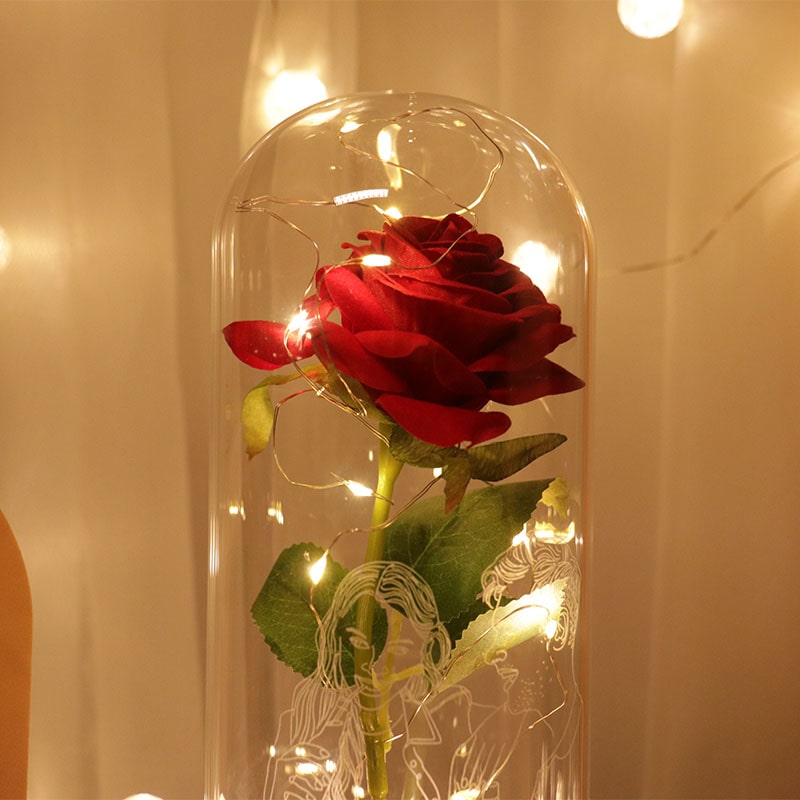Interstellar Roses - VIP