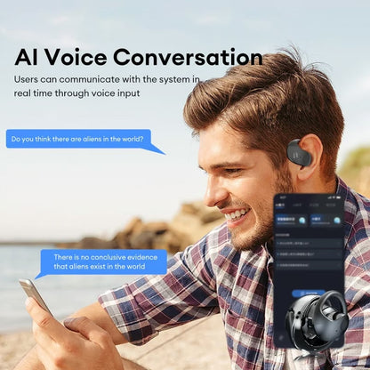 LinguaAir Real-Time Translation Earbuds