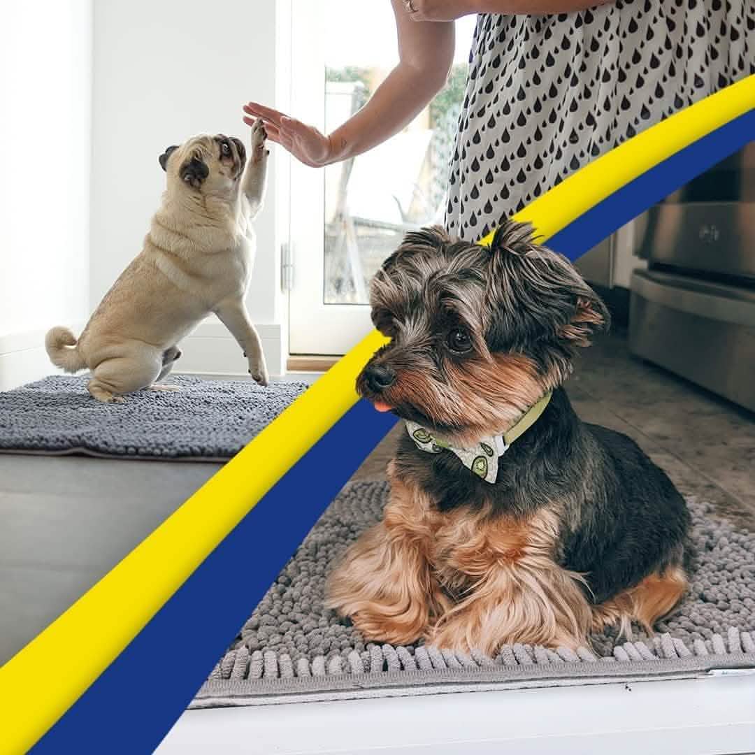 PawDry™ Pet Door Mat
