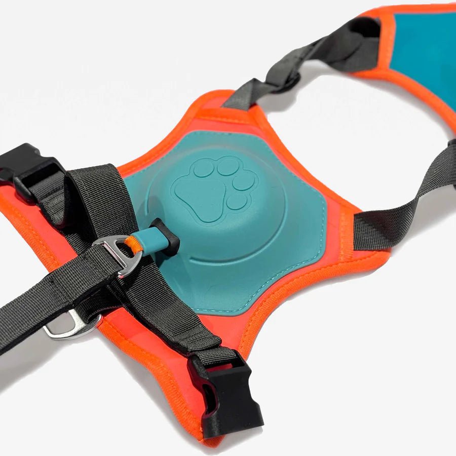 All - in - one Dog Harness - MemoryTails
