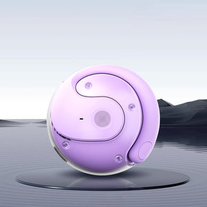 LinguaAir Real-Time Translation Earbuds