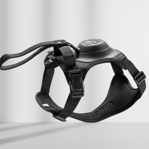 Retractable Vest Traction Rope - MemoryTails