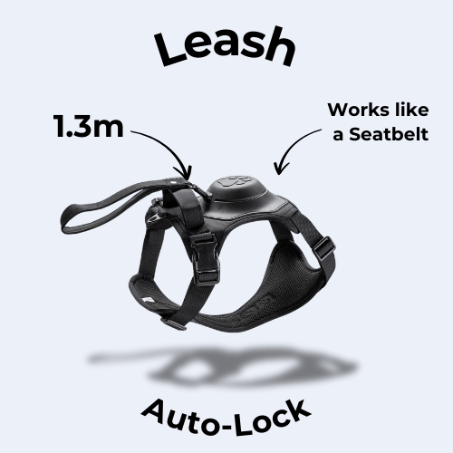 Retractable Vest Traction Rope - MemoryTails